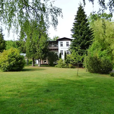 Sonnige-ferienwohnung-100qm-im-1-obergeschoss-der-villa-walhall-in-einem-parkaehnlichen-garten * Sellin (Rugen)