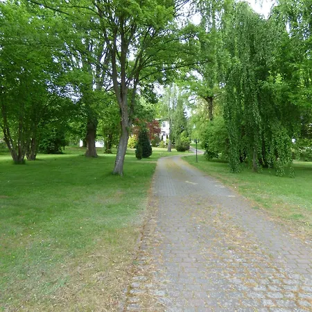 Sonnige-ferienwohnung-100qm-im-1-obergeschoss-der-villa-walhall-in-einem-parkaehnlichen-garten Sellin (Rugen)